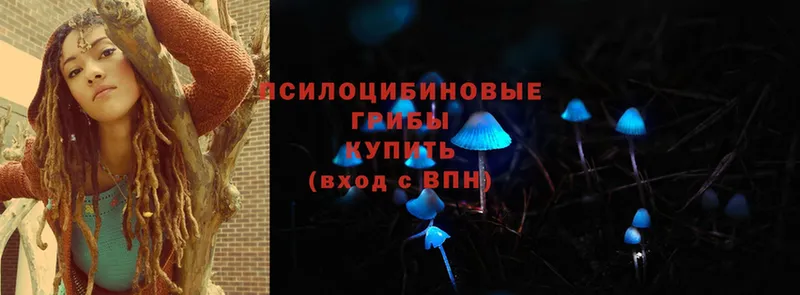 Галлюциногенные грибы Cubensis  Вилюйск 